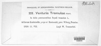 Venturia tremulae image